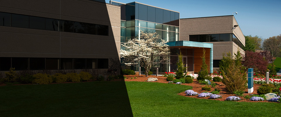 Freehold Landscapers