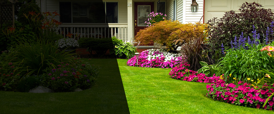 Freehold Landscapers