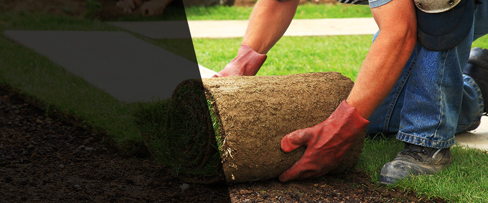 Freehold Landscapers